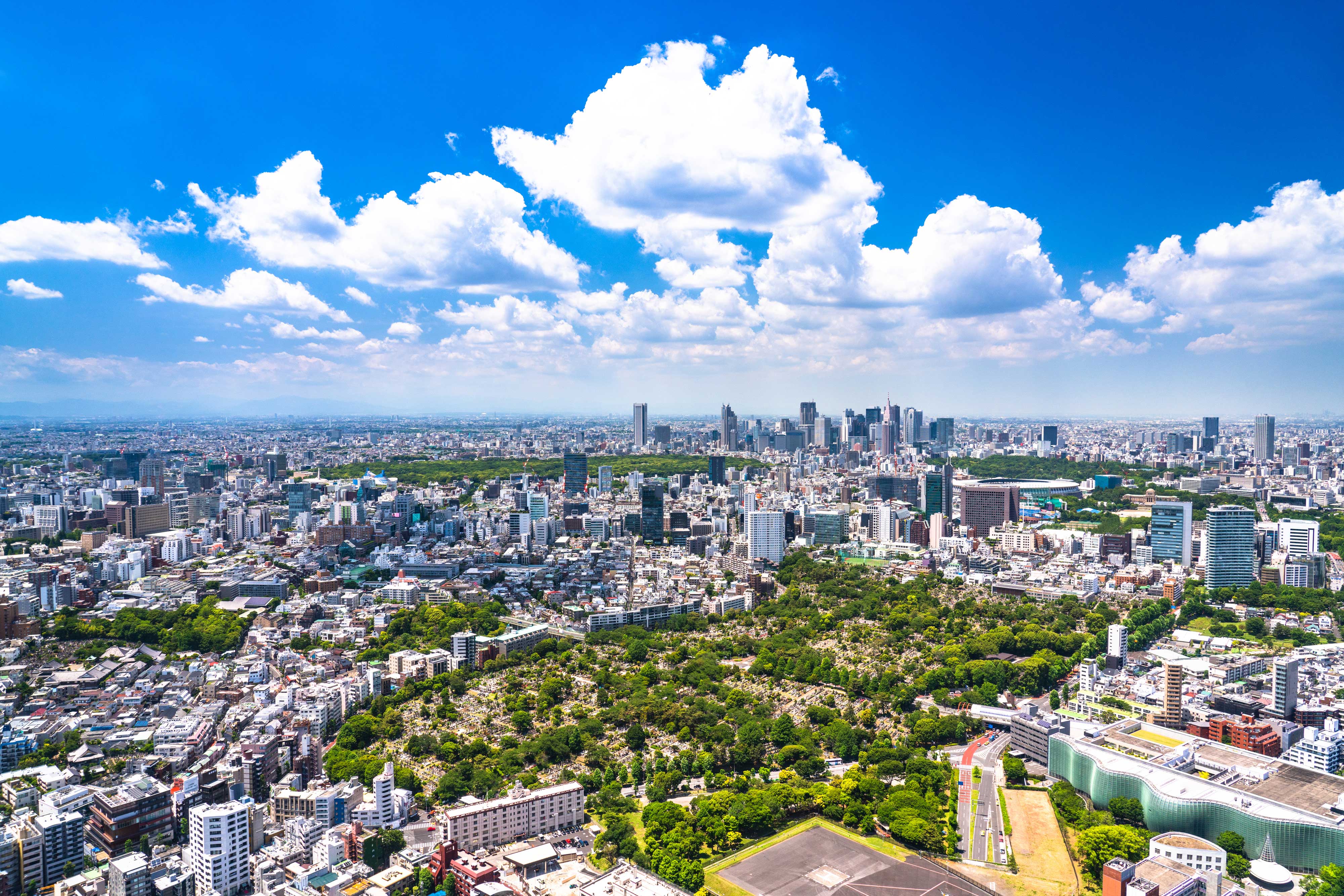 事業内容